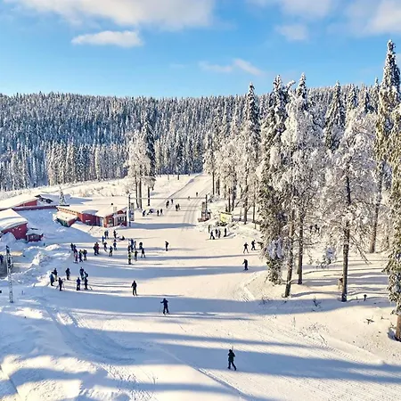 דירה Apartment In Langdorf Near Ski Trails *