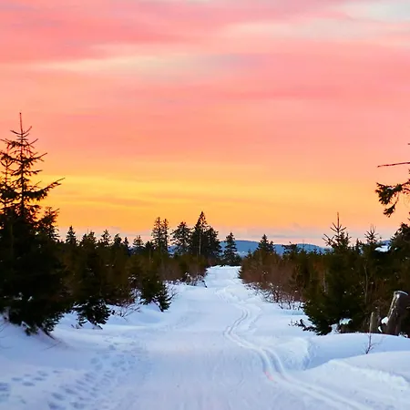 Apartment In Langdorf Near Ski Trails *